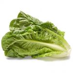 nurserylive-seeds-lettuce-salad-crisp-head-great-lakes-green-desi-vegetable-seeds-16969001336972_425x425.jpg