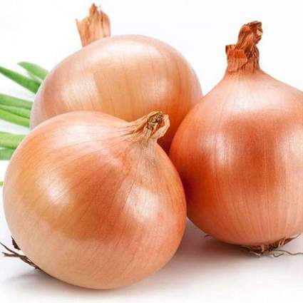 nurserylive-seeds-onion-gawran-desi-vegetable-seeds-16969142042764_425x425.jpg