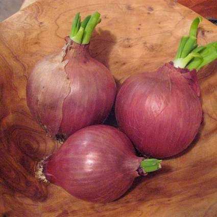 nurserylive-seeds-onion-light-red-desi-vegetable-seeds-16969142108300_425x425.jpg
