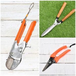 nurserylive-gardening-tools-basic-garden-cutting-tool-kit_362x362