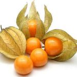 nurserylive-seeds-cape-gooseberry-rasbhari-fruit-seeds-16968683749516_362x362