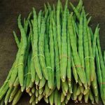 nurserylive-seeds-drumsticks-moringa-oleifera-vegetable-seeds-16968832745612_520x520