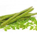 nurserylive-seeds-moringa-oleifera-drum-stick-rama-pk-115-vegetable-seeds-16969035481228_520x520