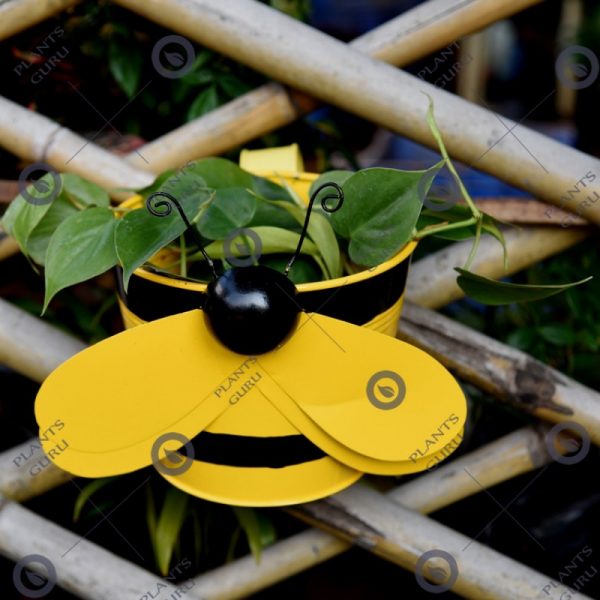bee-yellow-metal-pot-planter-800x800