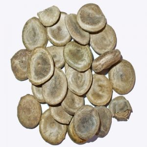 plantsguru-medicinalseeds-Strychnos-nux-vomica-(1 Kg)-Seeds-800x800