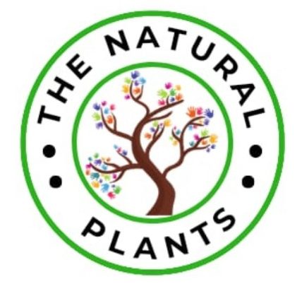 The Natural Plants