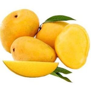 HIMSAGAR MANGO