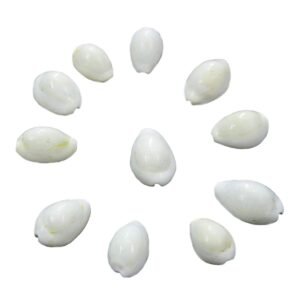 Set of 21 - Natural Yellow Kaudi Kowdi Cowrie Yellow Koudi