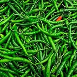 Chilli G 4 - Desi Vegetable Seeds