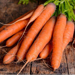 Carrot Kuroda - Vegetable Seeds