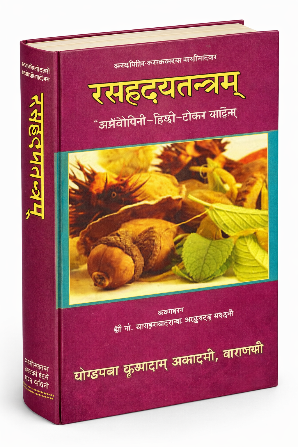 ChatGPT Image Feb 10 2026 11 32 33 AM