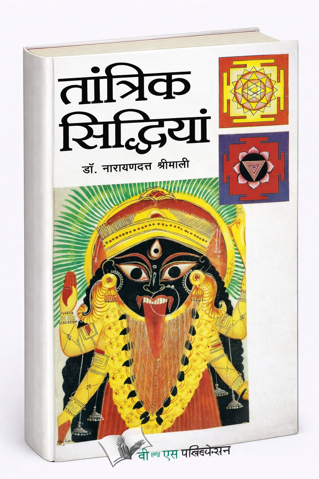 ChatGPT Image Feb 10 2026 12 56 02 PM