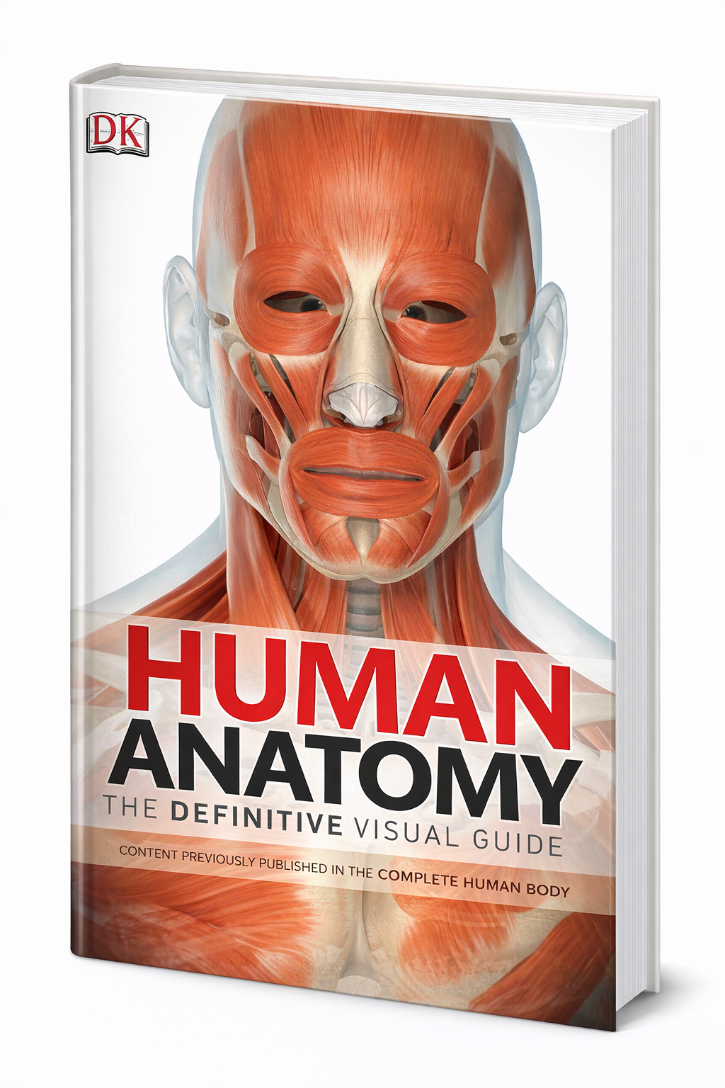 ChatGPT Image Feb 11 2026 12 36 38 PM