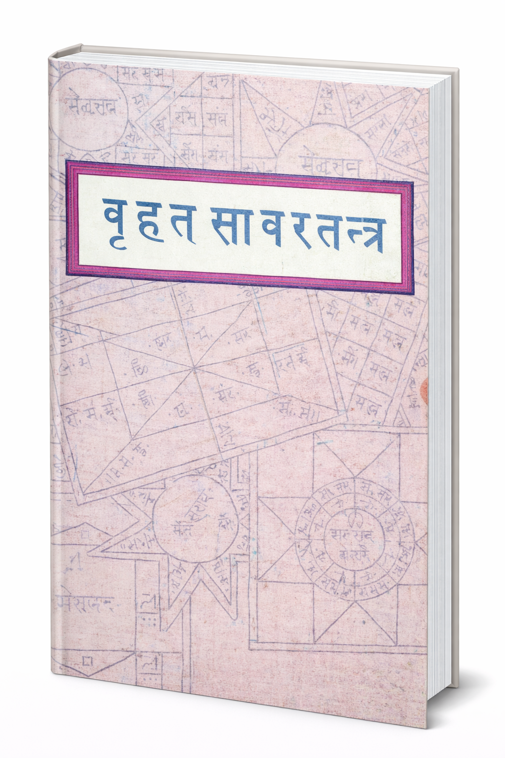 ChatGPT Image Feb 11 2026 12 54 51 PM