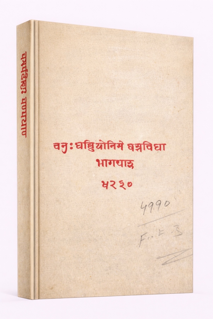 ChatGPT Image Feb 7 2026 01 12 59 PM