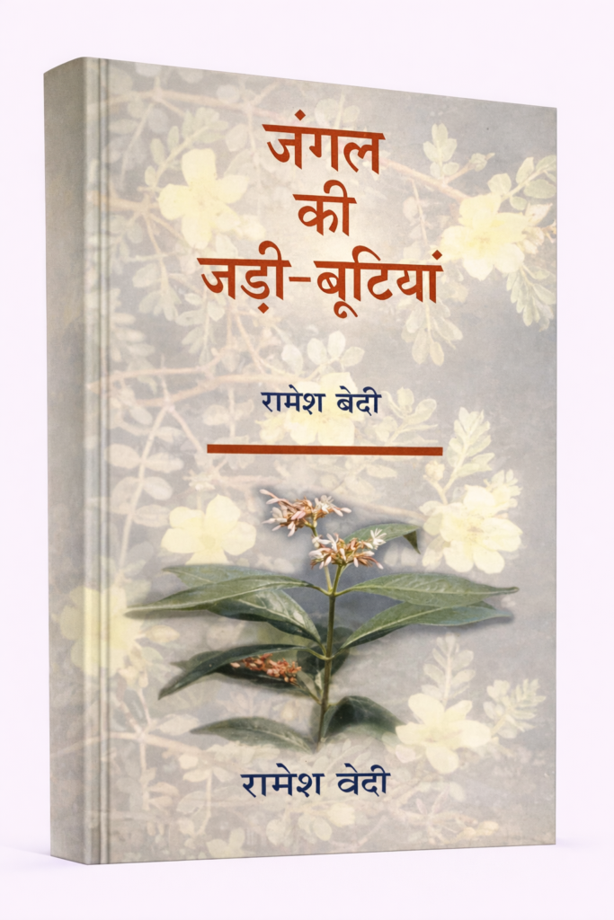 ChatGPT Image Feb 7 2026 04 52 34 PM