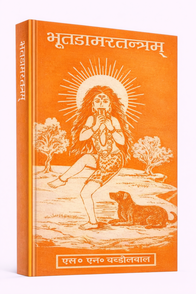 ChatGPT Image Feb 7 2026 11 59 49 AM 1