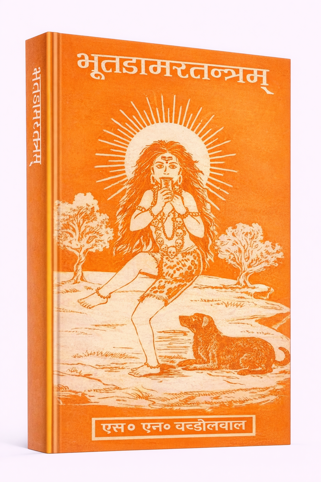 ChatGPT Image Feb 7 2026 11 59 49 AM 1