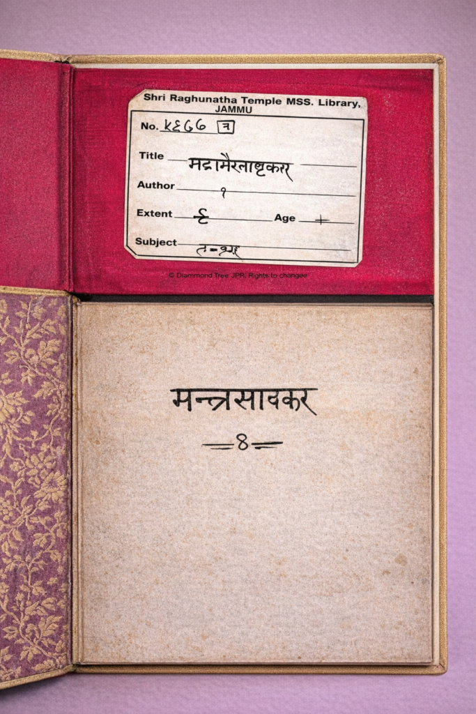 ChatGPT Image Feb 9 2026 11 58 41 AM