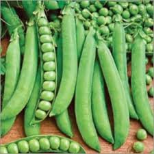 Peas Azad P1 - Desi Vegetable Seeds