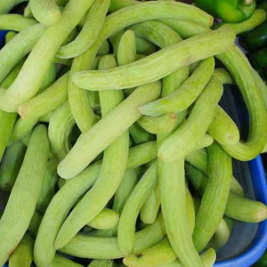 Long Melon, Kakri Selection - Vegetable Seeds