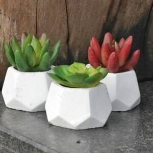 3 pcs Succulent with White Color Geometric Shape Pot with Realistic Effect for Home Decoration Book Shelf Office Decoration Gifting Outdoor Decoration Artificial Plant with Pot  (5 cm, Multicolor)