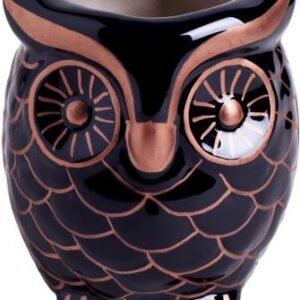 Decorative Owl Planter Pot For Indoor Outdoor Plant Plant Container (Ceramic, External Height - 17 cm)