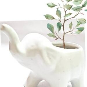 ELEPHANT POTS Plant Container Set  (Ceramic)