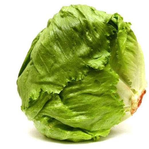 Lettuce Ice Berg Crispiano - Vegetable Seeds 1 Lettuce Ice Berg Crispiano - Vegetable Seeds