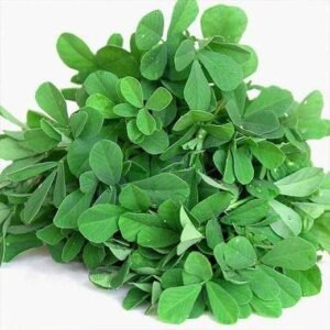 Methi Shalimar Improved - Organic Vegetable Seeds