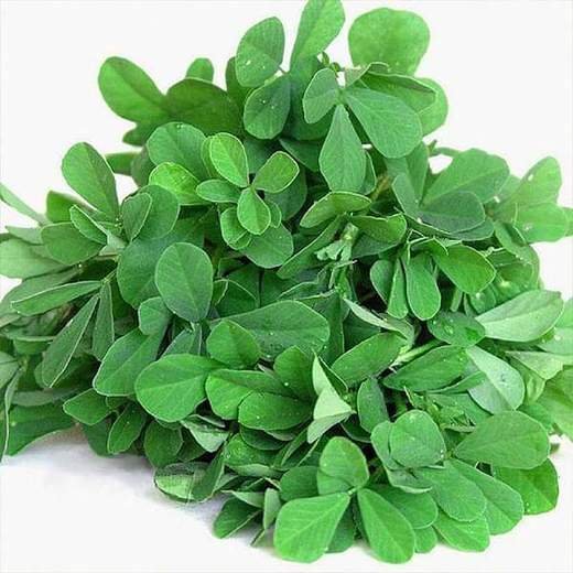 Methi Shalimar Improved - Organic Vegetable Seeds 1 Methi Shalimar Improved - Organic Vegetable Seeds