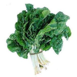 Spinach Kantewali - Desi Vegetable Seeds