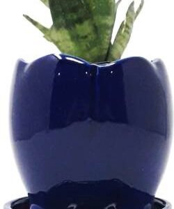 Ceramic tabletop without plant cobalt blue Plant Container Set  (Ceramic)
