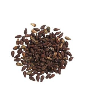 Shivlingi Beej | शिवलिंगी बीज