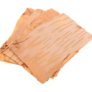 Bhoj Patra |  भोजपत्र