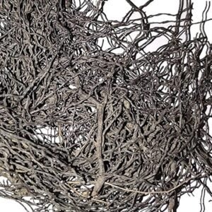 Mohini  Jaal Short | मोहिनी जाल