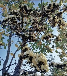 Screenshot 2025 0428 224007