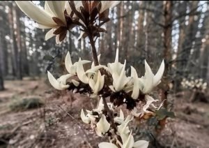 Screenshot 2025 0428 224022