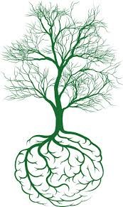 Activity 41 download