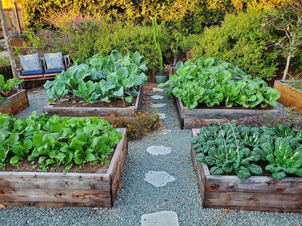 no till gardening raised beds feature