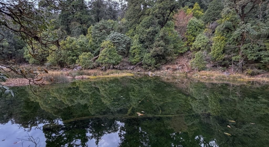 हमारे दुर्लभ पौधे प्रकृति से जुड़ाव और जीवन का संतुलन