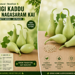 Pungi kaddu Junglee nagasaram Kai 5 variety Seeds 20 peace