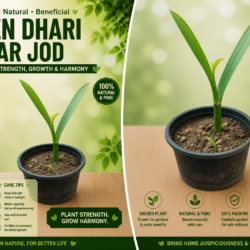 Teen Dhari Har jod