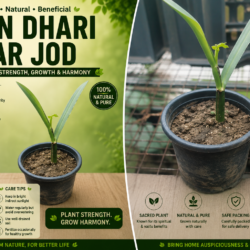 Teen Dhari Har jod