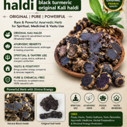 Bhadrakali haldi black turmeric original Kali haldi