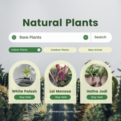 Natural Plants