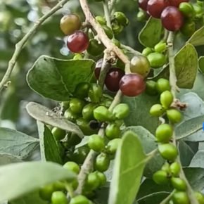 Screenshot_2024-12-25-19-28-51-44_a23b203fd3aafc6dcb84e438dda678b6 