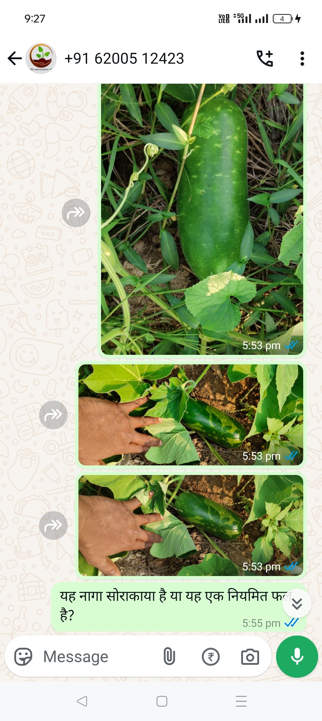 Screenshot_2025-01-03-21-27-55-76_6012fa4d4ddec268fc5c7112cbb265e7