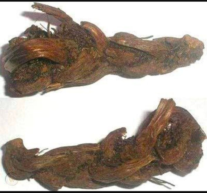 Screenshot_2025_0109_224350